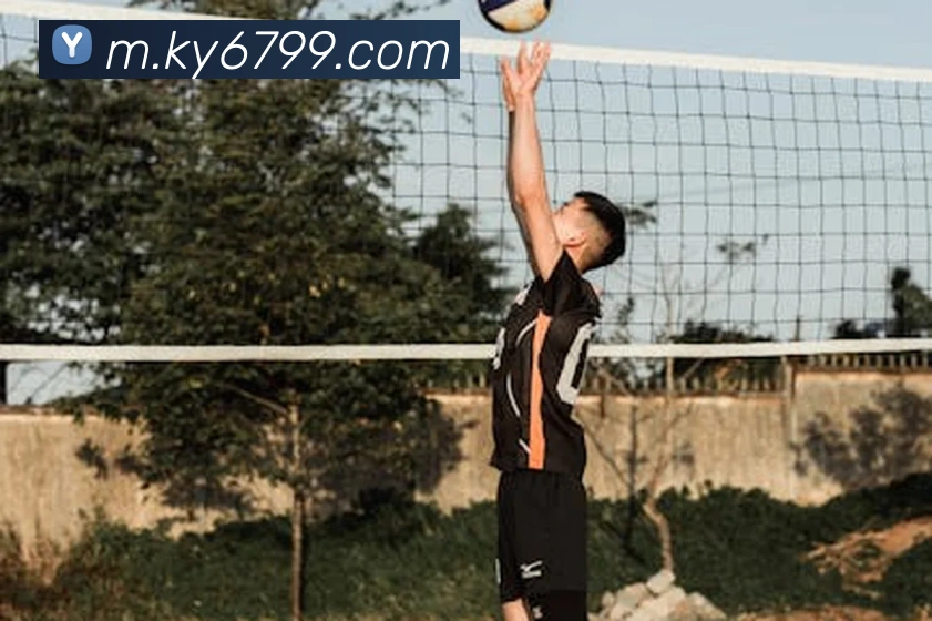 多终端兼容